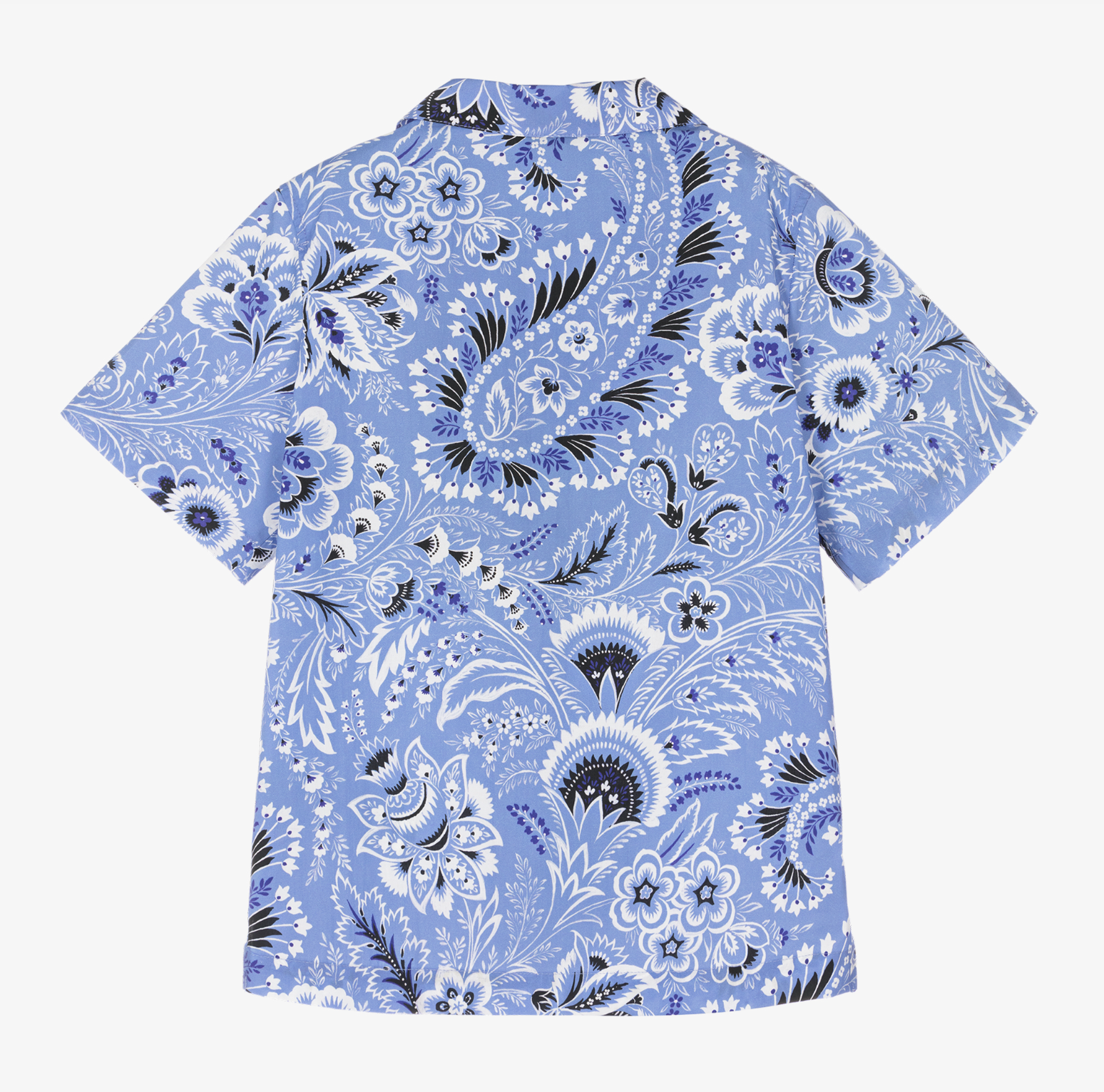 Etro Blue Cucumbers Shirt