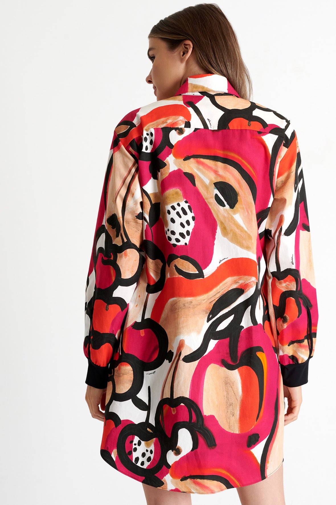 SHAN FRIDA LONG SLEEVE TUNIC
