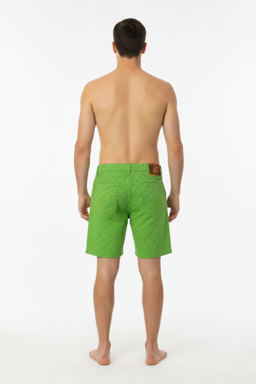 Vilebrequin Green Turtle Men's Shorts
