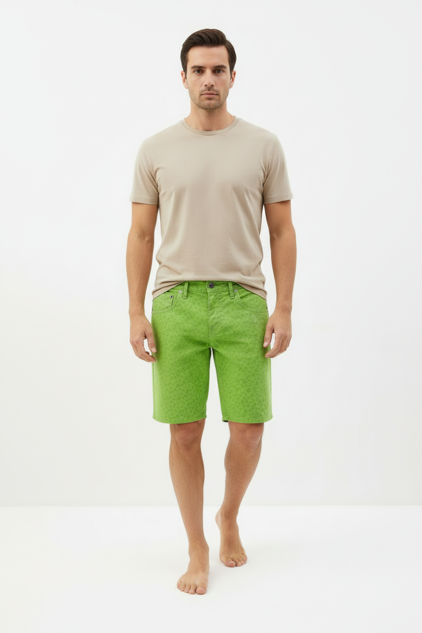 Vilebrequin Green Turtle Men's Shorts